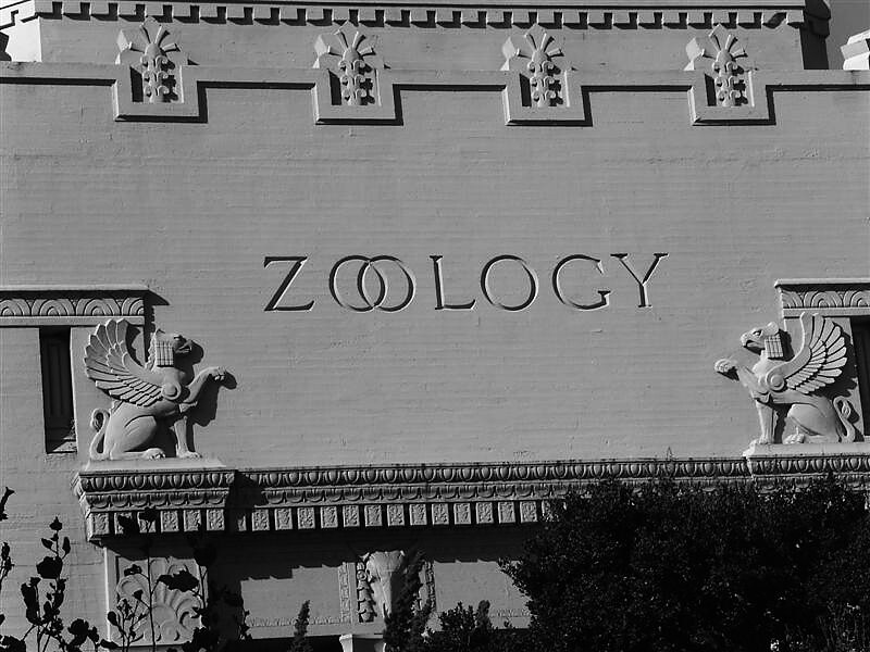 The Zoology Building at UC Berkeley, where William Balamuth held his Professor of Zoology appointment